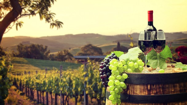 Le guide des régions viticoles de France et vignobles populaires